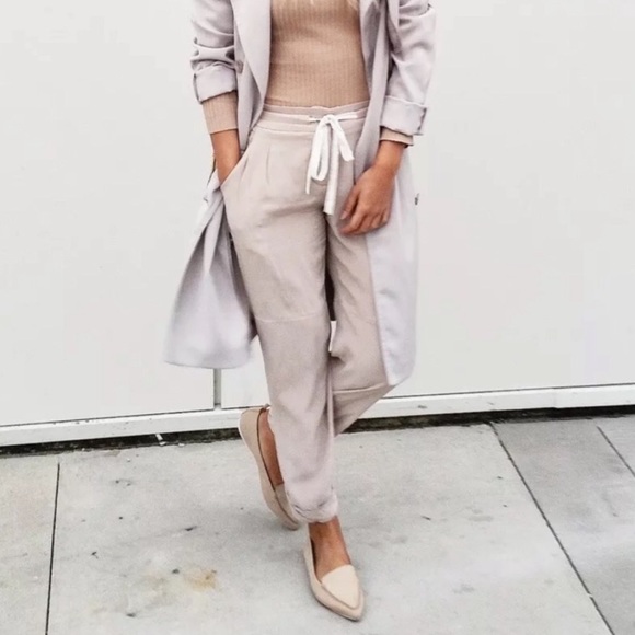 Aritzia Pants - Wilfred 100% silk Allant pant